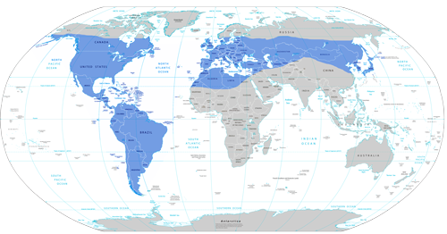 Globalstar coverage amp